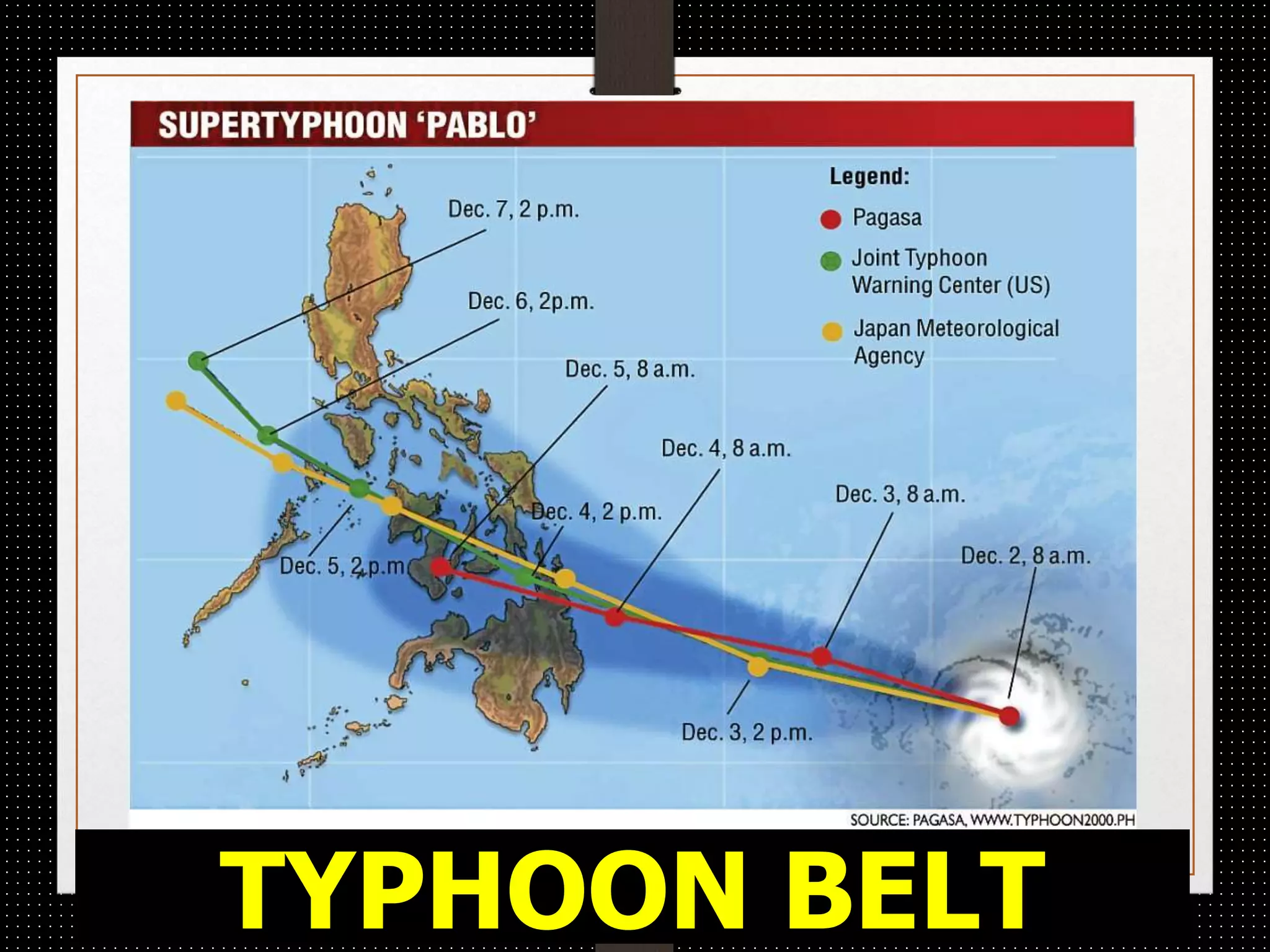 TYPHOON BELT
 
