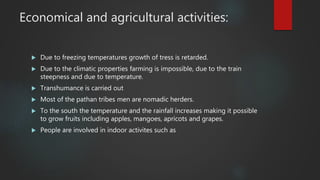 Economical and agricultural activities:
 Due to freezing temperatures growth of tress is retarded.
 Due to the climatic properties farming is impossible, due to the train
steepness and due to temperature.
 Transhumance is carried out
 Most of the pathan tribes men are nomadic herders.
 To the south the temperature and the rainfall increases making it possible
to grow fruits including apples, mangoes, apricots and grapes.
 People are involved in indoor activites such as
 