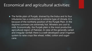 Economical and agricultural activities:
 The fertile plain of Punjab, drained by the Indus and its four
tributaries has a continental or extreme type of climate. It is
because of the northerly position of the Punjab Plain. In the
daytime summers are extremely hot. Wineters are cool to
mild. Economically, the Punjab plain is the most productive
agricultural region of Pakistan. In view of the generally varied
and irregular rainfall; there is a well-developed canal irrigation
system to raise crops like wheat, millet, cotton and sugar-
cane.
 
