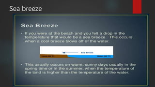 Sea breeze
 