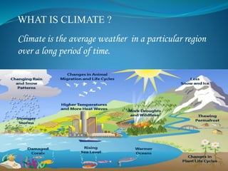 WHAT IS CLIMATE ?
Climate is the average weather in a particular region
over a long period of time.
 