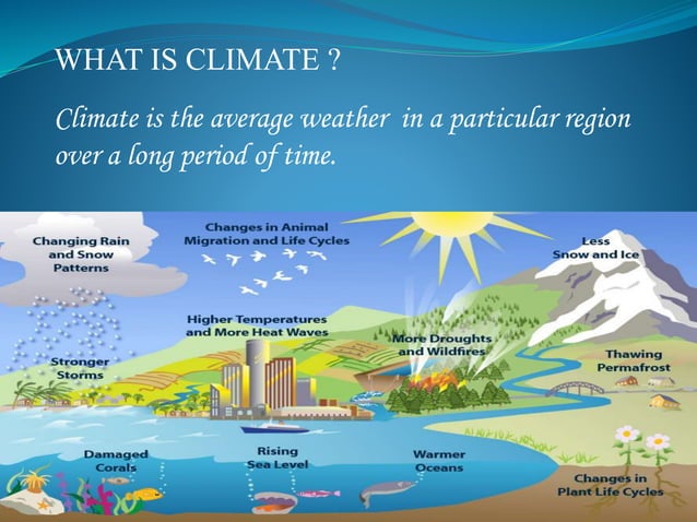 Weather,Climate and Adaptations | PPTX