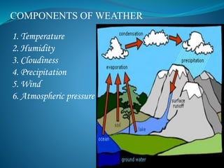 COMPONENTS OF WEATHER
1. Temperature
2. Humidity
3. Cloudiness
4. Precipitation
5. Wind
6. Atmospheric pressure
 