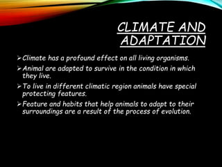 Weather Climate and Adaptations of Animals to Climate