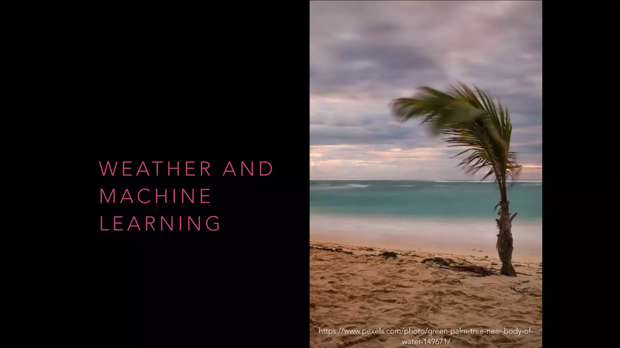 W E AT H E R A N D
M A C H I N E
L E A R N I N G
https://www.pexels.com/photo/green-palm-tree-near-body-of-
water-149671/
 