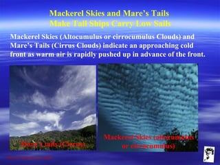 Grunt Productions 2009
Mackerel Skies and Mare’s Tails
Make Tall Ships Carry Low Sails
Mackerel Skies (Altocumulus or cirrocumulus Clouds) and
Mare’s Tails (Cirrus Clouds) indicate an approaching cold
front as warm air is rapidly pushed up in advance of the front.
Mare’s tails (Cirrus)
Mackerel Skies (altocumulus
or cirrocumulus)
 