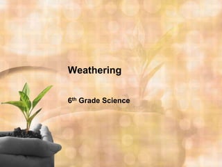 Weathering 6th Grade Science 