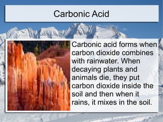 Carbonic Acid Carbonic acid forms when carbon dioxide combines with rainwater. When decaying plants and animals die, they put carbon dioxide inside the soil and then when it rains, it mixes in the soil. 