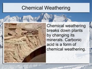 Chemical weathering breaks down plants by changing its minerals. Carbonic acid is a form of chemical weathering. Chemical Weathering 