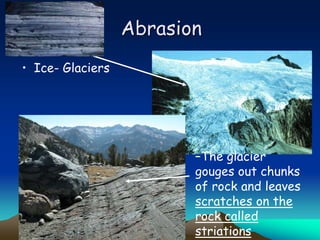 Abrasion
• Ice- Glaciers
–The glacier
gouges out chunks
of rock and leaves
scratches on the
rock called
striations
 