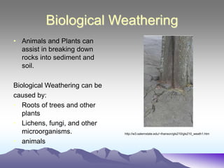 Weathering.ppt.......................... | PPT