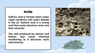 Acids
Sulfuric acid is formed when water
vapor combines with sulfur dioxide
in the air. Sulfuric acid is a strong
acid that easily dissolves rocks and
their minerals.
The acid produced by mosses and
lichens also cause chemical
weathering as it dissolves rocks
and minerals.
 