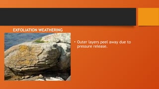 EXFOLIATION WEATHERING
• Outer layers peel away due to
pressure release.
 