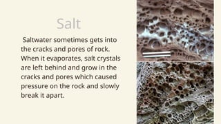 Earth Science -Stem Grade 11 - Weathering | PPTX