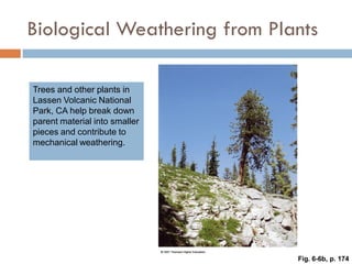 Weathering, Erosion and Soil