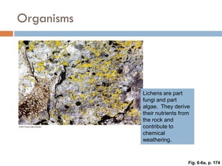 Weathering, Erosion and Soil