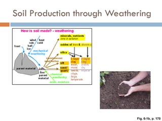 Weathering, Erosion and Soil