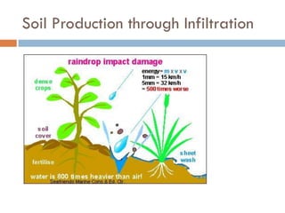 Weathering, Erosion and Soil