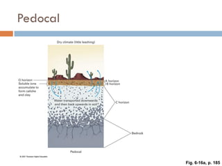 Weathering, Erosion and Soil