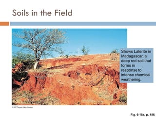 Weathering, Erosion and Soil