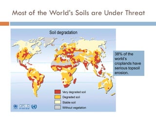 Weathering, Erosion and Soil