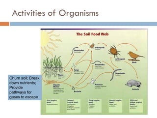 Weathering, Erosion and Soil