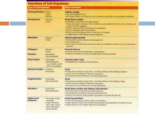 Weathering, Erosion and Soil