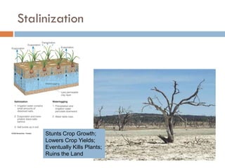Weathering, Erosion and Soil