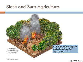 Weathering, Erosion and Soil
