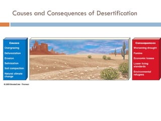 Weathering, Erosion and Soil
