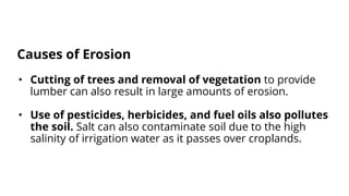 • Cutting of trees and removal of vegetation to provide
lumber can also result in large amounts of erosion.
• Use of pesticides, herbicides, and fuel oils also pollutes
the soil. Salt can also contaminate soil due to the high
salinity of irrigation water as it passes over croplands.
Causes of Erosion
 
