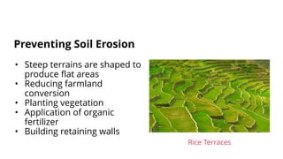 • Steep terrains are shaped to
produce flat areas
• Reducing farmland
conversion
• Planting vegetation
• Application of organic
fertilizer
• Building retaining walls
Preventing Soil Erosion
Rice Terraces
 