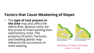 • The type of rock present in
the area may also affect the
debris flow. Igneous rocks are
less prone to mass wasting than
sedimentary rocks. The
presence of joints, fractures,
and bedding planes may
influence the occurrence of
mass wasting.
Factors that Cause Weakening of Slopes
Direction of slope and weak
zone in a rock
 