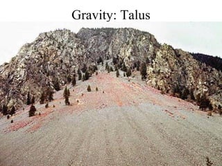 Talus Gc Weathering, Erosion, Deposition, and Karst Topography | PPT