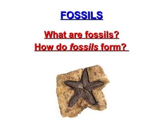 FOSSILS What are fossils? How do  fossils  form?  