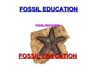 FOSSIL EDUCATION FOSSIL EDUCATION FOSSIL EDUCATION 