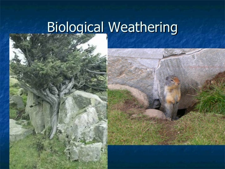 Weathering And Erosion