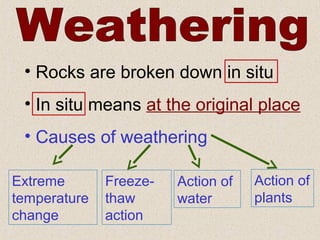 • Rocks are broken down in situ
 • In situ means at the original place
 • Causes of weathering

Extreme       Freeze-   Action of   Action of
temperature   thaw      water       plants
change        action
 
