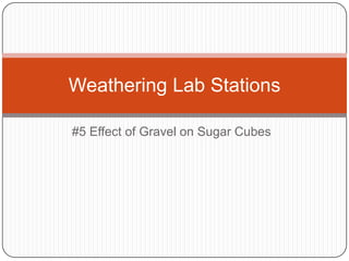 Weathering Lab Stations
#5 Effect of Gravel on Sugar Cubes

 