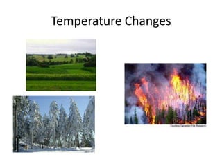 Temperature Changes 
 