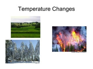 Temperature Changes 
 