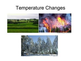 Temperature Changes
 