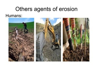 Others agents of erosion
Humans:
 
