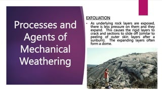 types and agents of WEATHERING AND EROSION.pptx
