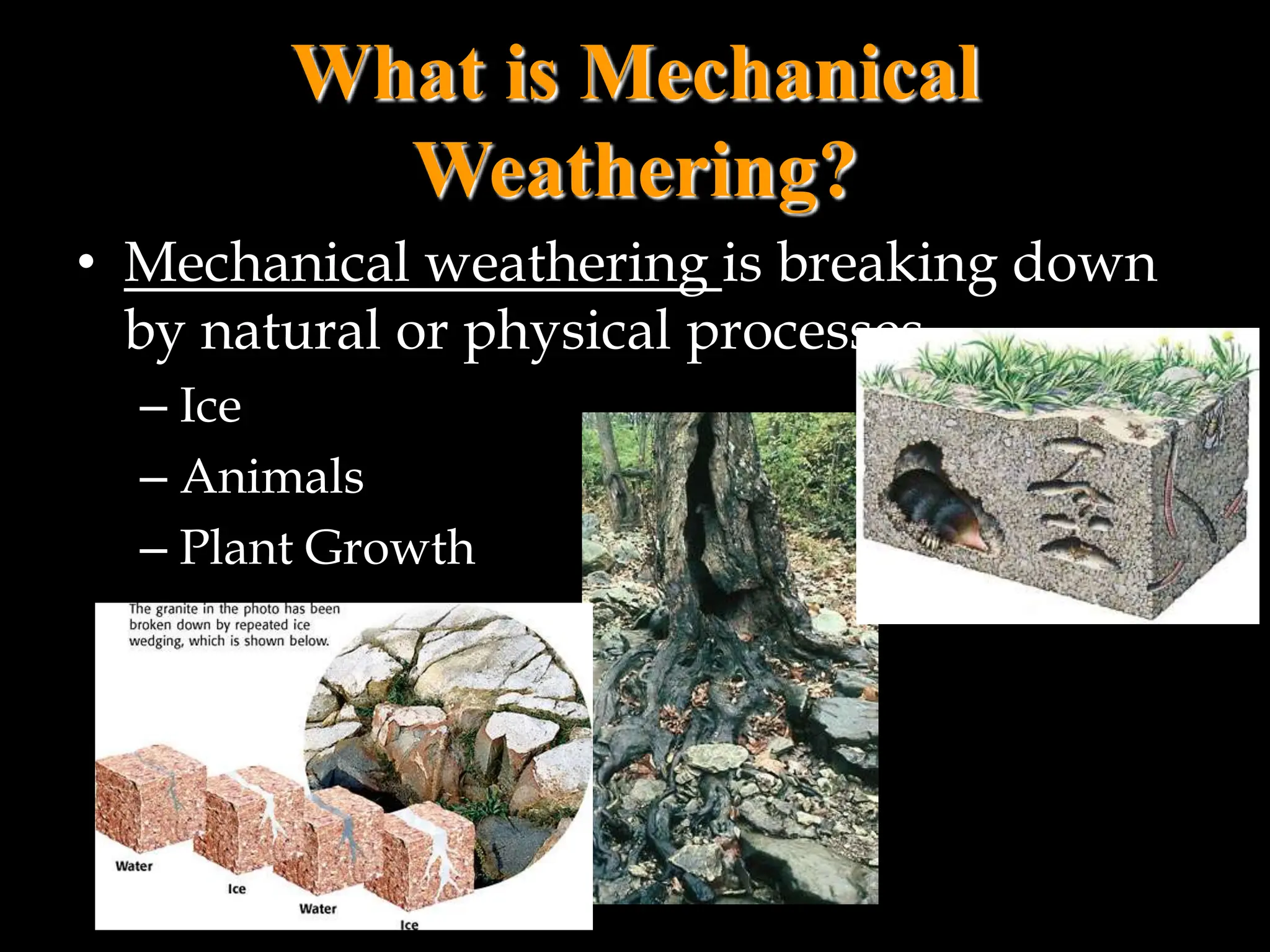 What is Mechanical
Weathering?
• Mechanical weathering is breaking down
by natural or physical processes
– Ice
– Animals
– Plant Growth
 
