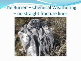 The Burren – Chemical Weathering
– no straight fracture lines
 