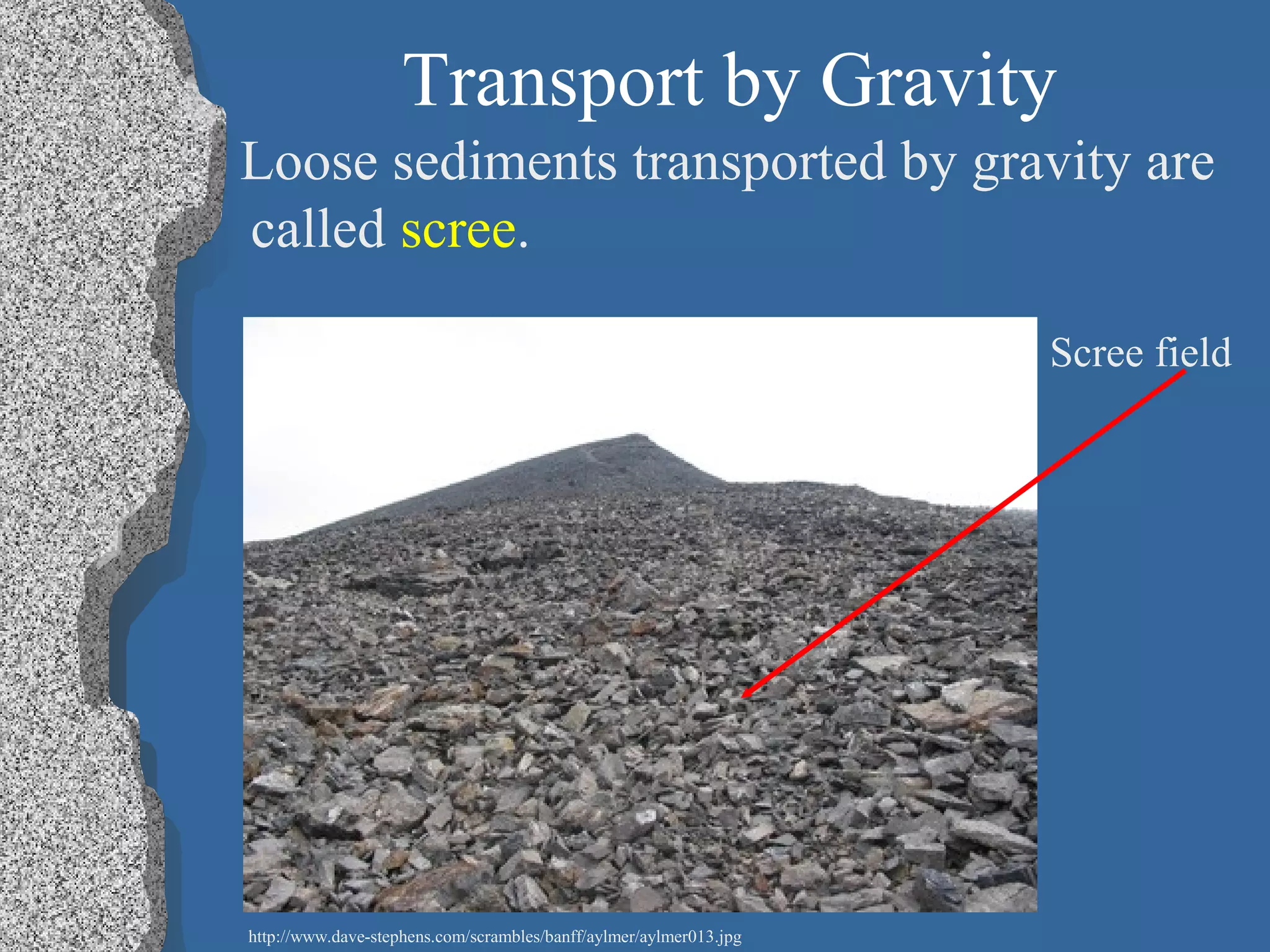 Transport by Gravity
Loose sediments transported by gravity are
called scree.
Scree field
http://www.dave-stephens.com/scrambles/banff/aylmer/aylmer013.jpg
 