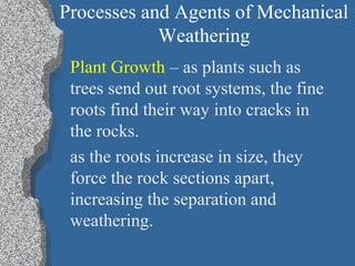 Processes and Agents of Mechanical
Weathering
Plant Growth – as plants such as
trees send out root systems, the fine
roots find their way into cracks in
the rocks.
as the roots increase in size, they
force the rock sections apart,
increasing the separation and
weathering.
 