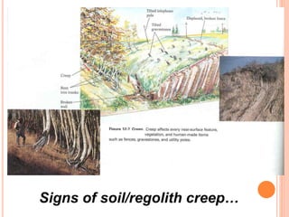 Signs of soil/regolith creep…
 