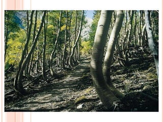 FIG. 16.02 D
(c) Martin Miller
 